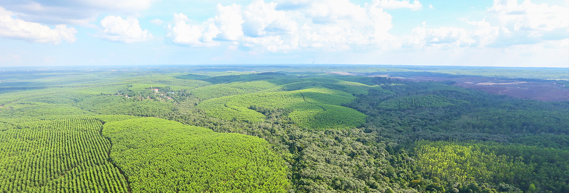 402永利集团(中国区)有限公司-官方网站