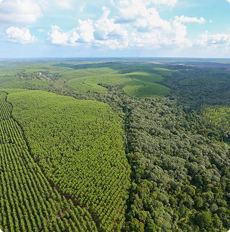 402永利集团(中国区)有限公司-官方网站