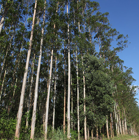 402永利集团(中国区)有限公司-官方网站