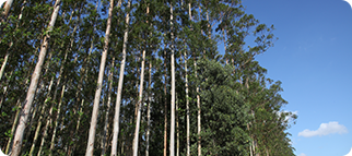 402永利集团(中国区)有限公司-官方网站