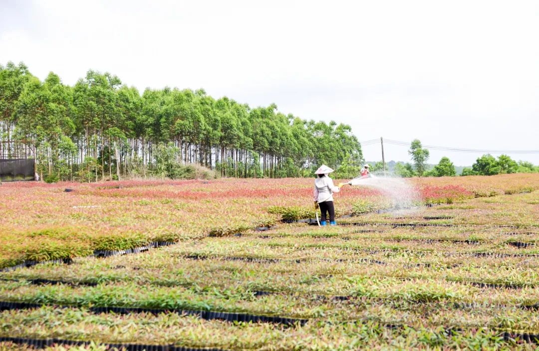 402永利集团(中国区)有限公司-官方网站