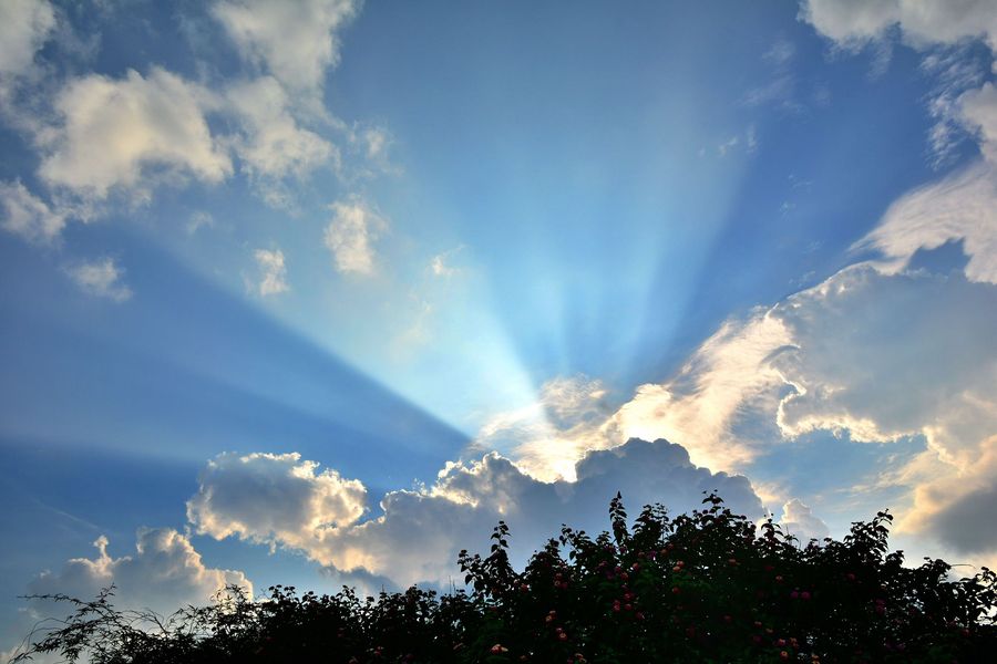 402永利集团(中国区)有限公司-官方网站