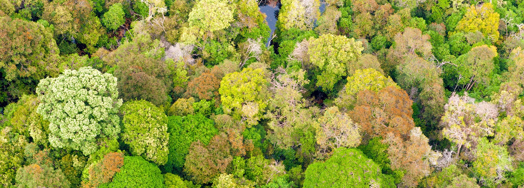 402永利集团(中国区)有限公司-官方网站